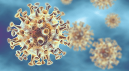 image_4CC3C721-FF51-4E1D-8BDB-C24D5A6116D4.E947E900-6A9C-418F-B7DA-22C98267319D