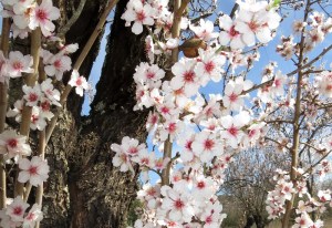 image_F4333B85-0256-460F-A681-629FBEFFE5D0.IMG_1449